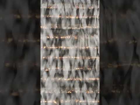 Fine Gold & Black Sand in UR Sluice Mat just Prior to Clean Up ... No Name Creek, BC