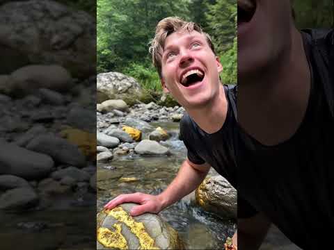 Gold in nature 🪙😮  #golddiscovery #treasure #gold #goldrush #goldnugget #goldmining