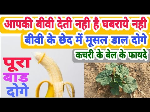 कचरी की बेल के अद्भुत चमत्कारी फायदे  | kachri ke BEL ke fayde | #आयुर्वेद