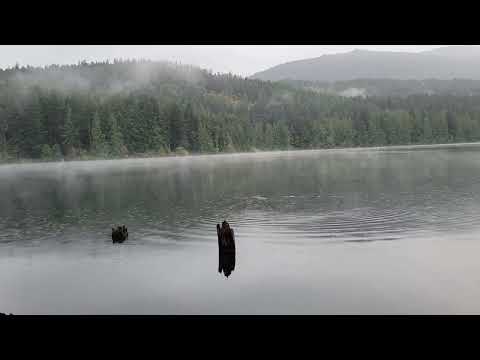Fishing!! Rainy day on the lake #fishing