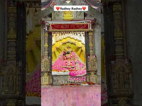 Shri bankebihari ji maharaj ke darshan #trending #shortsfeed #radheradhe #viralshort #shorts