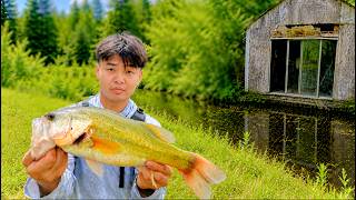 This ABANDONED Pond is FULL of Fish
