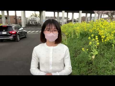 【ノーブラ散歩】菜の花畑がとっても綺麗でした🌼川和市民の森【うみ散歩】