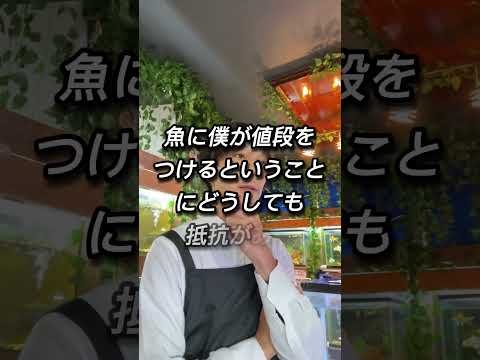お引き取りした魚は譲渡にします。現在は準備が間に合っていないのですが順次切り替わっていきます！これからも応援よろしくお願いします！ #金魚 #金魚の飼い方 #動物保護#アクアリウム
