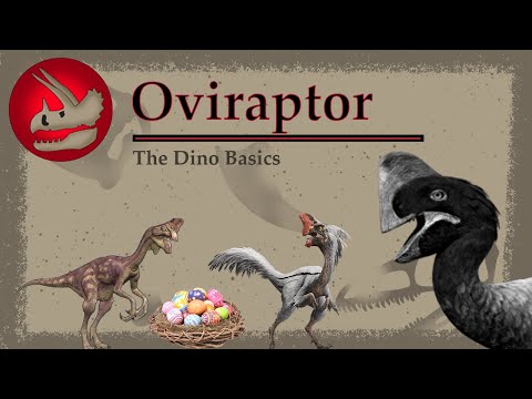Oviraptor | The Egg Thief (?) | Dino Basics
