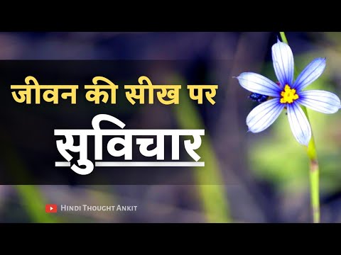 जीवन की सीख पर सुविचार || Suvichar Motivational || Aaj ka Suvichar Status || Vichar || Hindi Thought