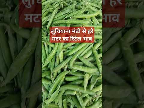 20 मार्च 2020 लुधियाना मंडी #मटर का रिटेल भाव#viralvideo