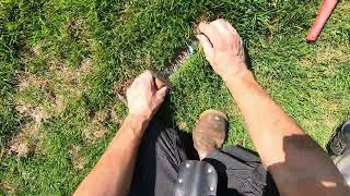 Jim had a very rare find while metal detecting the school.