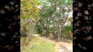 Dixie Chicks  Wide Open Spaces  The Long Way Around.wmv