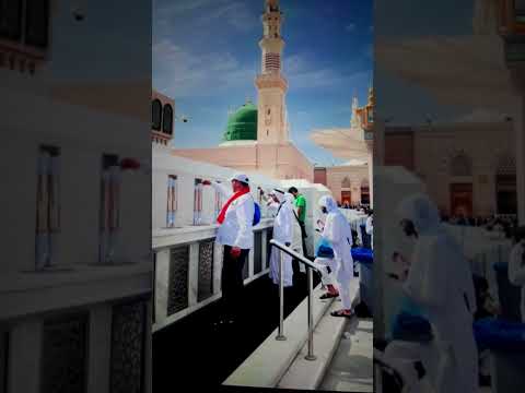 Jashn e Amad e Rasool - Farhan Ali Qadri #islam #freepalestine #shorts #youtubeshorts #shortvideo