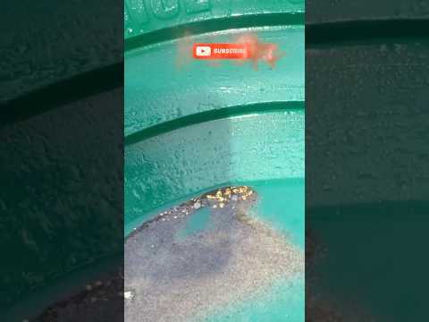 #Short - Goldibox Dredging in NC Clay Layer – Underwater Footage + Picker Found!