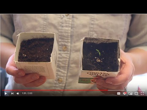 Water Education TV: Let It Grow