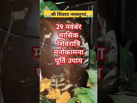 29 नवंबर मासिक शिवरात्रि का मनोकामना पूर्ति उपाय चावल धतूरा सफेद पुष्प #मासिक_शिवरात्रि #shorts