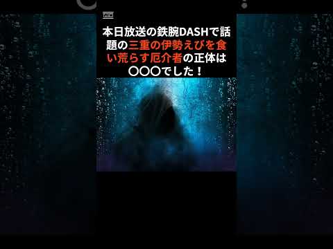 【鉄腕DASH・グリル厄介】三重県の伊勢えびを食い荒らす正体は衝撃の○○だった！！#shorts #ウツボ #グリル厄介 #鉄腕ダッシュ