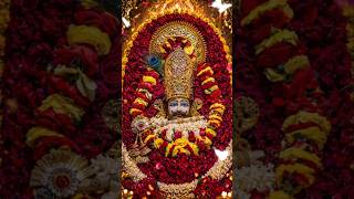 Lord of Dwarka! 🙏 | My dark lord #KhatuShyam #AjayRajputBhakti #Shorts #bhaktistatus #shyam