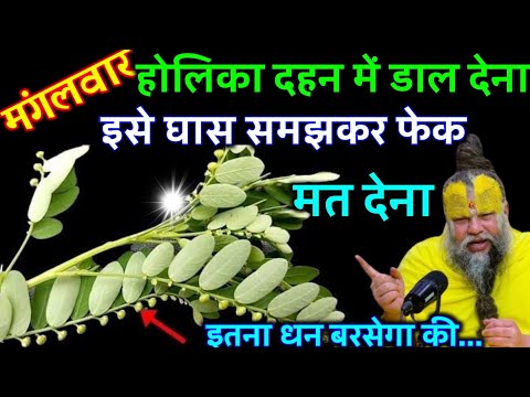 होलिका दहन में डाल देना जो इच्छा है वह सब पूरी होगी घास समझकर फेक मत देना | Best motivational video