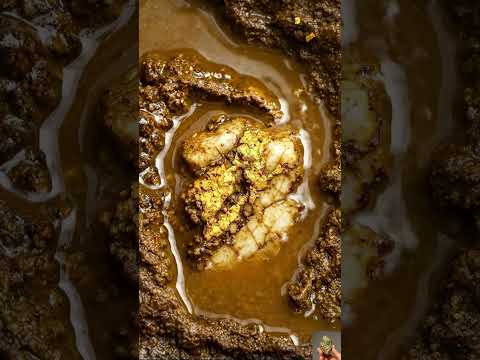 Gold Quartz 🪙😮 #GoldRush #Quartz