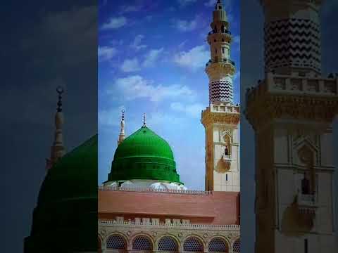 Jashn e Amad e Rasool - Farhan Ali Qadri #islam #freepalestine #shorts #youtubeshorts #shortvideo