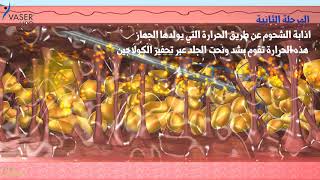 VaserLipo Biological Animation