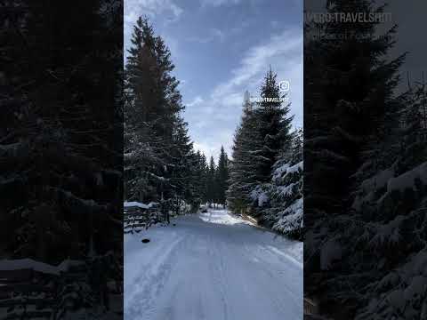 #winterwonderland #winter #winterspecial #shortsvideo #walking #winterwalk