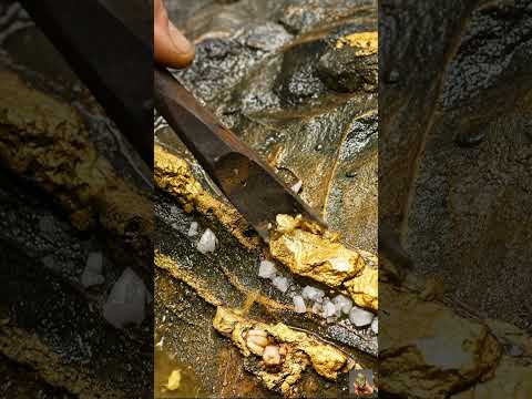 Gold Quartz 🪙😮 #GoldRush #fyp #viral #golddiscovery #quartz #treasure #explore #lifestyle #gold