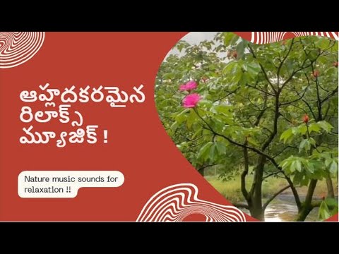 Best Telugu Songs | Telugu Music Channel | Good Music | Telugu Songs | Relaxing Music With Nature