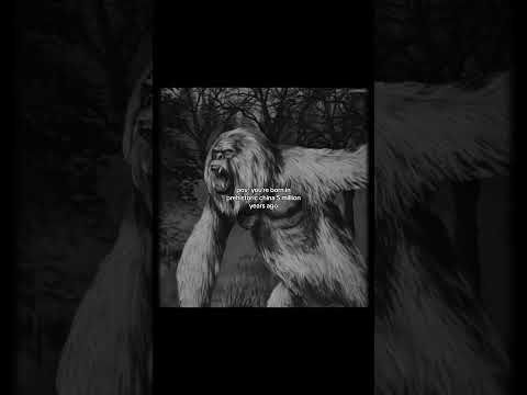 Prehistoric China #history #platybelodon #gigantopithecus #deinotherium #prehistoric #shorts #scary