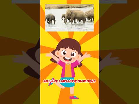 🐘 Can an Elephant Jump? 🤔 #funfacts #shortsforkids