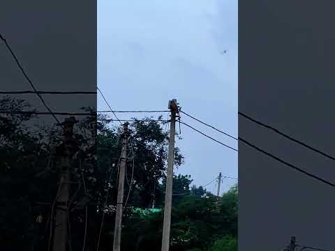 shorts #ytshortsvideo #ytshorts #ytviral