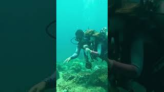 8-Year-Old’s First Dive — PADI Bubblemaker Moment!