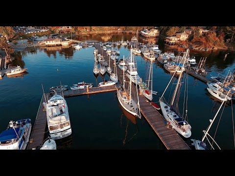 Savary 2016 Views From Above
