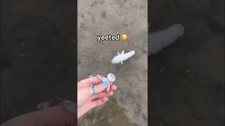 LOOKING FOR FIDGETS at the BEACH! 🌊😱🐚 *weird amazon fidgets*