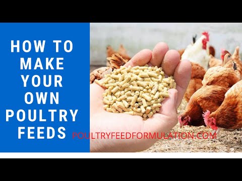 Poultry Feed Formulation: How to Make your Own Poultry Feed (HD)