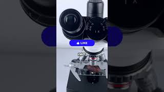 Silkworm under microscope 🤮🤮🤮