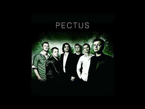 Pectus - Jeden Moment 432 Hz