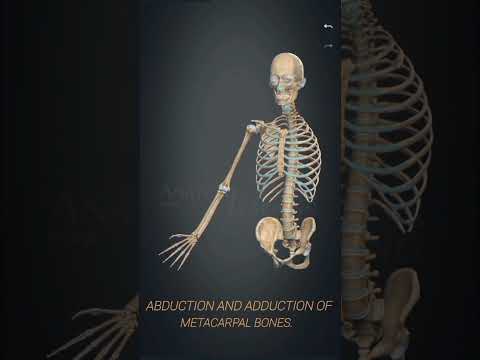 abduction and adduction of meta carpals,carpel and phallenges #medicosphere #3d #anatomy  #medicos