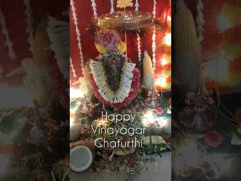 Vinayagar Chaturthi Special|#cooking|#vinayagar|#Youtubeindia|youtubeshorts|#SparklewithShorts|#feed