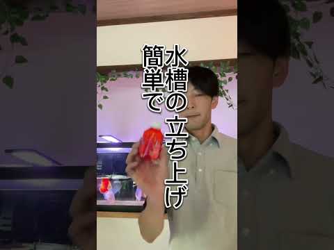 バクテリア剤は正しく使う事が大切です！#アクアリウム#熱帯魚#金魚