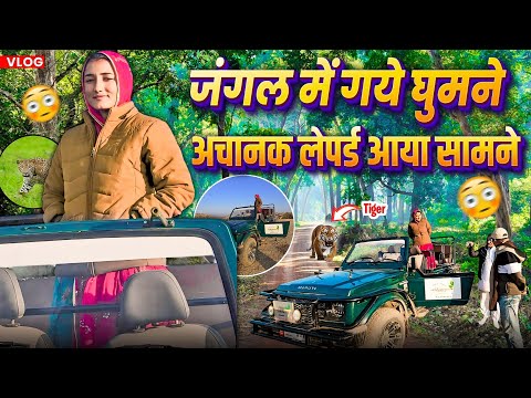 जंगल में घूमना पड़ गया भारी / जंगल सफारी सुकून / poonamrajasthani