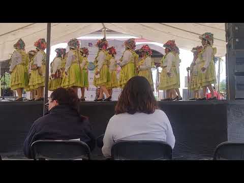 la danza de las pastoras ☺️🇲🇽