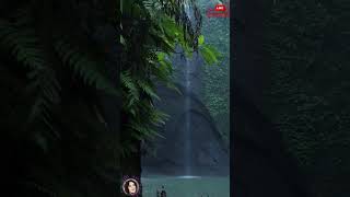 2 Hours of Enchanting Live Jungle Rain Sounds in Vibrant Guatemala | Relaxation & Sleep Aid