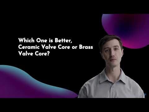 Ceramic  Valve Core  VS Brass Valve Core