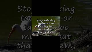 Think Different   90 @Samyatibimbham  #thinkdifferent   #quotes   #quotations  #Samyatibimbham