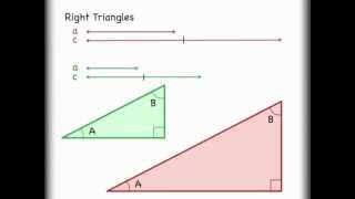 Sine, Cosine, Tangent Trigonometry: Right Triangle Math Explained