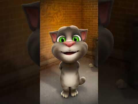 बीली की बात मानों #short #बीली