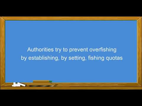 English For Economists Podcast 21 Fishery