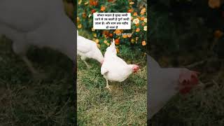 suvichar status/ suvichar thoughts/ suvichar quotes/ anmol suvichar/ anmol vachan #shorts #suvichar