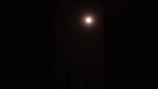 gali me aj chand nikla #shortvideo #status #chandragrahan2024 #shorts