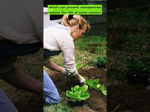 What are the effects of gardening for older adults? #houseplant #shortvideo