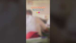 ඇත්ත කතාව 🎊️ #automobile #love #fashiontrends #funny #things #summerfashion #nature #trendingshorts